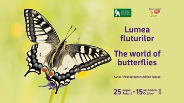 „Lumea fluturilor”, o nouă expoziţie outdoor la Muzeul "Antipa"