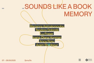 Satul Şona din Braşov va fi gazda rezidenţelor artistice pluridisciplinare internaţionale „Sounds Like a Book - Memory”