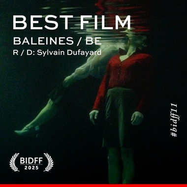 „Baleines”, în regia lui Sylvain Dufayard, a fost desemnat cel mai bun film la Bucharest International Dance Film Festival 