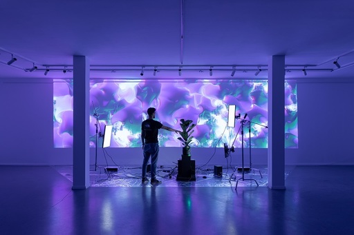 "Nature after Nature", expoziţie internaţională de grup la Comenduirea Garnizoanei de la Timişoara