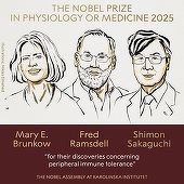 UPDATE - Premiul Nobel pentru Fiziologie sau Medicină 2025 a fost acordat cercetătorilor Mary E. Brunkow, Fred Ramsdell şi Shimon Sakaguchi „pentru descoperirile lor privind toleranţa imunitară periferică”/ VIDEO