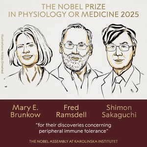 UPDATE - Premiul Nobel pentru Fiziologie sau Medicină 2025 a fost acordat cercetătorilor Mary E. Brunkow, Fred Ramsdell şi Shimon Sakaguchi „pentru descoperirile lor privind toleranţa imunitară periferică”/ VIDEO