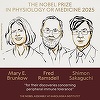 UPDATE - Premiul Nobel pentru Fiziologie sau Medicină 2025 a fost acordat cercetătorilor Mary E. Brunkow, Fred Ramsdell şi Shimon Sakaguchi „pentru descoperirile lor privind toleranţa imunitară periferică”/ VIDEO
