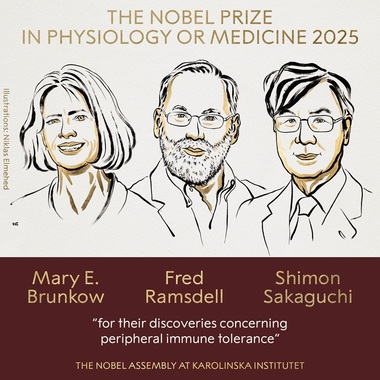 UPDATE - Premiul Nobel pentru Fiziologie sau Medicină 2025 a fost acordat cercetătorilor Mary E. Brunkow, Fred Ramsdell şi Shimon Sakaguchi „pentru descoperirile lor privind toleranţa imunitară periferică”/ VIDEO