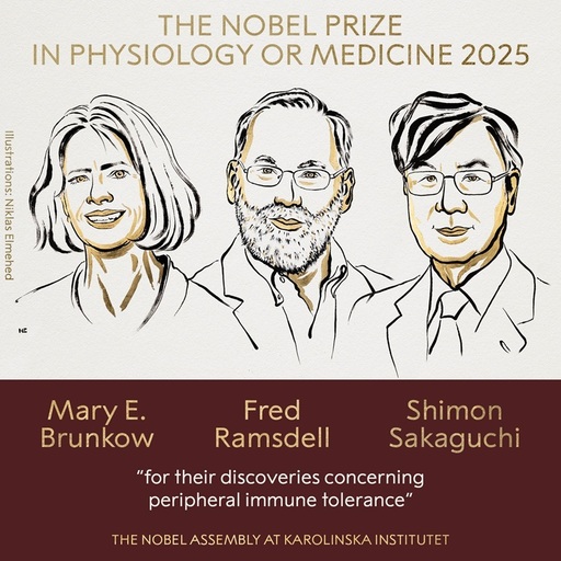 UPDATE - Premiul Nobel pentru Fiziologie sau Medicină 2025 a fost acordat cercetătorilor Mary E. Brunkow, Fred Ramsdell şi Shimon Sakaguchi „pentru descoperirile lor privind toleranţa imunitară periferică”/ VIDEO