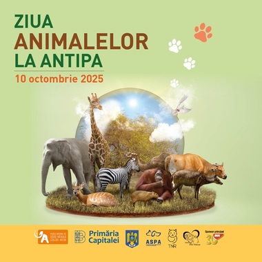Ziua Mondială a Animalelor, la Muzeul „Antipa” - Târg de adopţii câini şi pisici, demonstraţii de dresaj şi intrare liberă în expoziţia permanentă