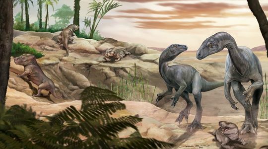 Unul dintre cei mai vechi dinozauri din lume descoperit în Argentina