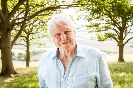 David Attenborough a devenit cel mai în vârstă câştigător al unui Daytime Emmy. Britanicul are 99 de ani