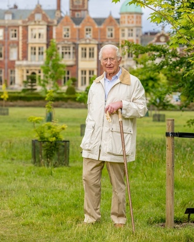 O nouă fotografie oficială a regelui Charles al III-lea, la împlinirea vârstei de 77 de ani