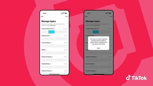 TikTok anunţă măsuri îmbunătăţite pentru identificarea şi eliminarea reţelelor de conturi dedicate răspândirii urii şi violenţei 