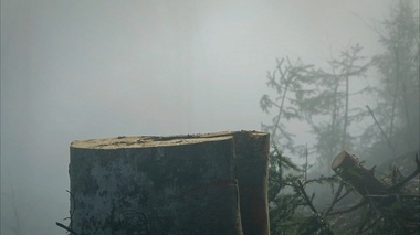 „După Cioate”, documentarul despre un atac nerezolvat şi tăcerea unui sistem, din 28 noiembrie în cinematografe/ VIDEO