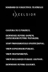Colectivul Teatrului Excelsior solicită PMB menţinerea lui Vlad Cristache în funcţia de manager interimar şi organizarea urgentă a concursului de management