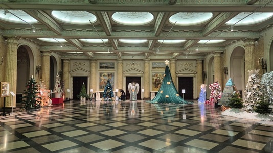 Festivalul Brazilor de Crăciun - Fonduri de peste un milion de euro, pentru restabilirea dreptului la educaţie al copiilor vulnerabilizaţi de sărăcie