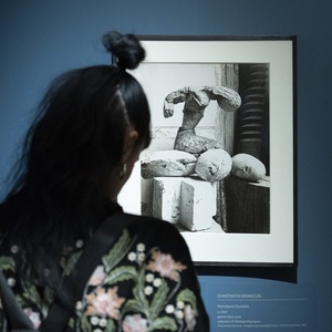 Secvenţe filmate de Brâncuşi şi muzică live de Wojtek Kiwer, la finisajul expoziţiei „Brâncuşi. Sculptând cu lumina”
