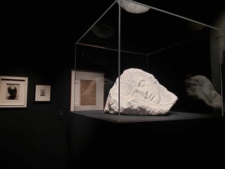 Academia Română nu a refuzat vreodată găzduirea de către România a patrimoniului Constantin Brâncuşi aflat la Paris