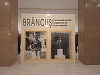 Expoziţia "Brâncuşi de priveşte pe toţi", sub forma unei pelicule de film - FOTO