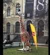 Celebra girafă de la Muzeul "Antipa" a primit, simbolic, un prieten construit din 80.000 de piese Lego - VIDEO