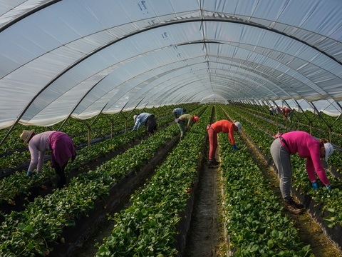 Expoziţia de fotografie documentară „Plecat”, o arhivă vie a migraţiei româneşti în Europa, la MNAC Bucureşti
