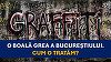 Dezbatere pe tema îndepărtării grafitti din Bucureşti – Ciucu: Să ne trezim cu toţii, să găsim o formulă care să permită intervenţia în 48 de ore / Ministrul Culturii: Am toată deschiderea ca soluţiile, odată agreate, să le punem pe hârtie