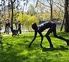 RAD Sculpture Park 2026 - Peste 60 de artişti expun mai mult de 100 de lucrări pe malul lacului Tei