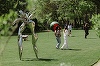 Rad Art Fair 2026 - Mai mult de 10.000 de vizitatori, 31 de galerii din 7 ţări/ Vânzări de peste 900.000 de euro