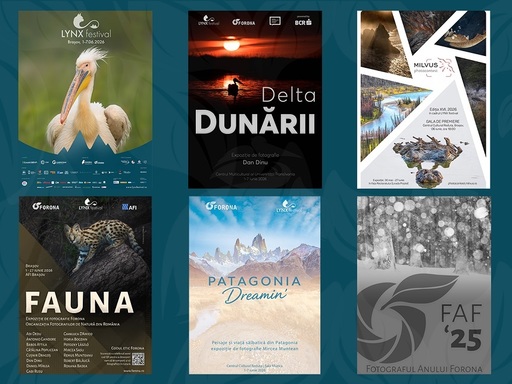 Spectacolul naturii se dezvăluie la Braşov în expoziţiile de fotografie de la LYNX festival