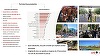 Studiu - 51% dintre bucureşteni sunt mândri că trăiesc în Capitală, diversitatea timpului liber îi leagă pe bucureşteni de oraşul lor, 41% dintre ei se definesc "gălăgioşi" iar 1 din 3 bucureşteni ar părăsi oraşul