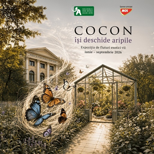 „Cocon”, expoziţia de fluturi exotici vii se mută în sera Muzeului „Antipa”