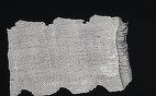 Un sul de papirus carbonizat în timpul erupţiei Vezuviului a fost descifrat cu ajutorul inteligenţei artificiale - VIDEO