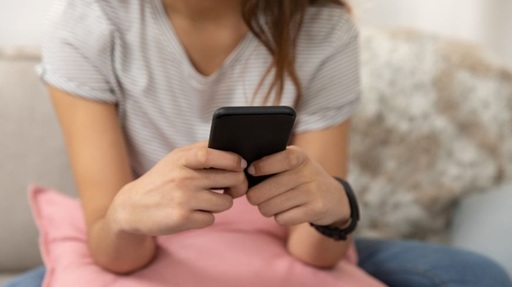 Comitetul de la Lanzarote a invitat România să nu mai utilizeze termenul de "pornografie infantilă". Diana Tuşa propune sintagma „materiale ce conţin abuzuri sexuale asupra minorilor”