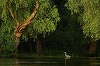 Expoziţia de fotografie „Delta Sălbatică”, semnată de artistul Dan Dinu, la Madrid