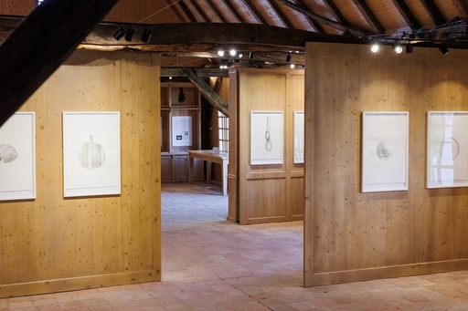 Expoziţia „Linea lignea” a artistei Irina Neacşu, găzduită la Casa Regelui Charles al III-lea