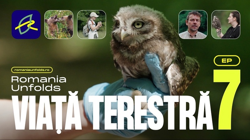 Al şaptelea episod din seria „Romania Unfolds”, primul mini-serial documentar despre sustenabilitate, lansat/ Pajişti, ecoducte şi infrastructură critică: trei modele prin care România îşi protejează biodiversitatea/ VIDEO