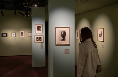 Nou sezon Art Safari New Museum - „Brâncuşi şi muzele sale”, „Pop Art - Warhol, Lichtenstein, Basquiat”, „Război şi pace”, „Fjord, fotografii” de Cristian Mungiu