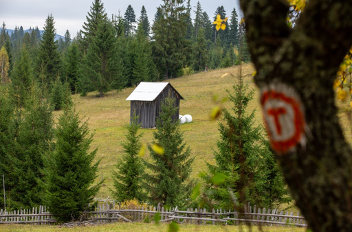 Via Transilvanica devine spaţiu de cercetare, creaţie şi memorie culturală