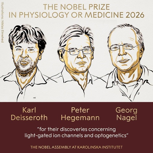 Premiul Nobel pentru Fiziologie sau Medicină 2026 a fost acordat cercetătorilor Karl Deisseroth, Peter Hegemann şi Georg Nagel „pentru descoperirile lor privind canalele ionice activate de lumină şi optogenetică”
