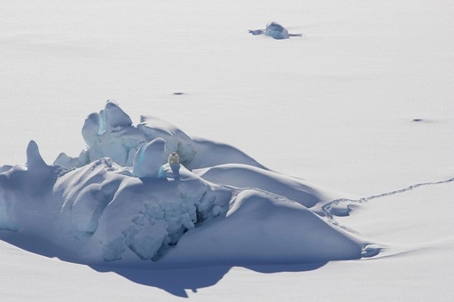 "Last Ice Area" din Oceanul Arctic se topeşte mai repede decât era de anticipat - studiu