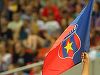 MApN: Marca Steaua a fost evaluată la 57,3 milioane de euro; urmează calcularea prejudiciului folosirii ei de către Gigi Becali