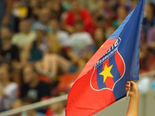 MApN: Marca Steaua a fost evaluată la 57,3 milioane de euro; urmează calcularea prejudiciului folosirii ei de către Gigi Becali