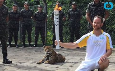 Un jaguar folosit la ceremonia olimpică de la Manaus a fost împuşcat la scurt timp după eveniment. VIDEO