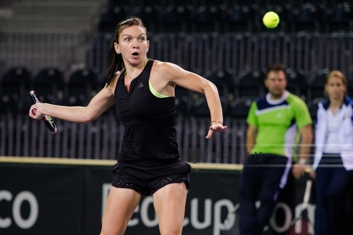 Simona Halep şi Monica Niculescu s-au calificat în finală la Montreal; Halep joacă şi la simplu în finală