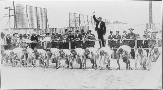Concurenţi la start la JO din 1904 (Foto: olympic.org)