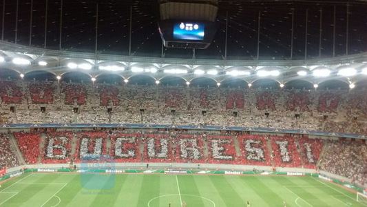 Suporter Dinamo: Coregrafia de la meciul Steaua - City am pus-o la cale încă de la meciul din Cupă. Nu a costat mai mult de 5.000 de euro