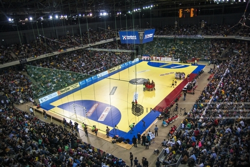 Narcisa Lecuşanu, Alexandru Dedu şi Alexandru Acsinte candidează pentru comisiile EHF