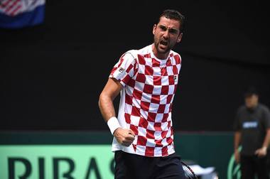 Marin Cilici şi Juan Martin Del Potro, liderii echipelor Croaţiei şi Argentinei pentru finala Cupei Davis