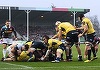 Timişoara Saracens a fost învinsă de Harlequins cu scorul de 75-3, în Challenge Cup