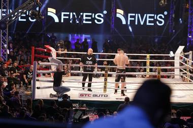 Luptători din opt ţări în gala Superkombat de la Romexpo