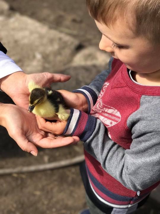 FOTO: Arhivă personală Vlad Moldoveanu