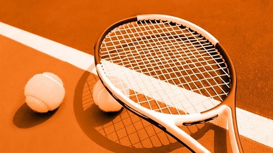 Wimbledon: Danil Medvedev a aruncat monede înspre arbitrul Mariana Alves