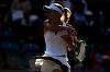 Caroline Wozniacki în finală la Toronto, unde ar putea evolua cu Halep, dacă românca trece de Svitolina